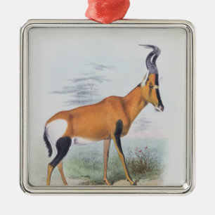 Antelope, from 'The Book of Antelopes', Metal Ornament