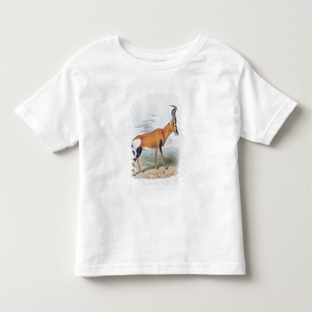 Antelope, from 'The Book of Antelopes', Toddler T-shirt (Front)