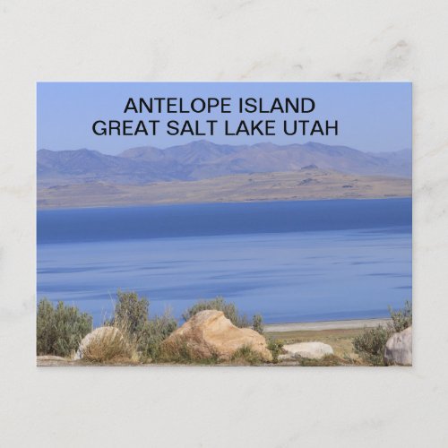  Antelope Island Great Salt Lake in Utah Postcard