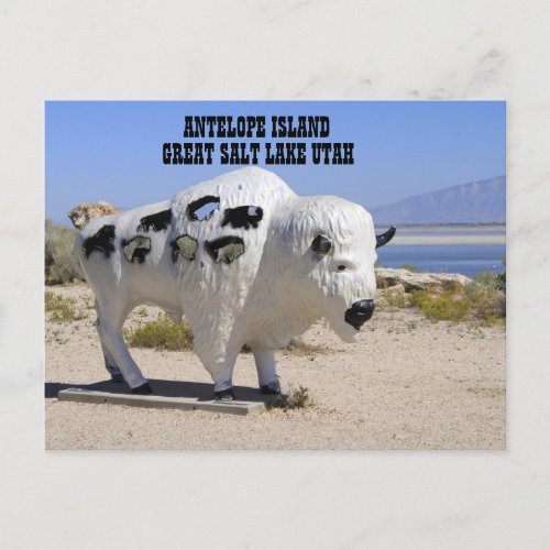 Antelope Island Great Salt Lake Utah Postcard