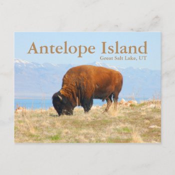 Antelope Island  Great Salt Lake  Utah Postcard by cshphotos at Zazzle