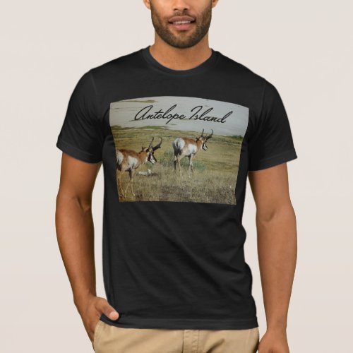 Antelope Island T_Shirt