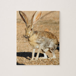 Antelope jackrabbit portrait, Arizona Jigsaw Puzzle