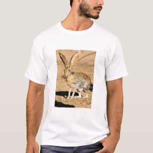 Antelope jackrabbit portrait, Arizona T-Shirt