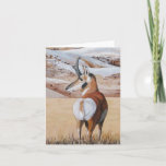 Antelope Note Card 2 at Zazzle