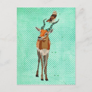 Antelope & Owl Postcard by Greyszoo at Zazzle