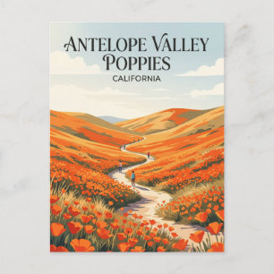Antelope Valley California Poppy Reserve USA Postcard