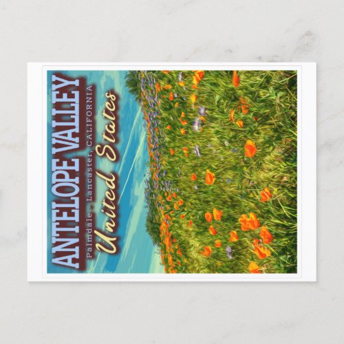 ANTELOPE VALLEY _ CALIFORNIA US _ SPRING POPPIES POSTCARD