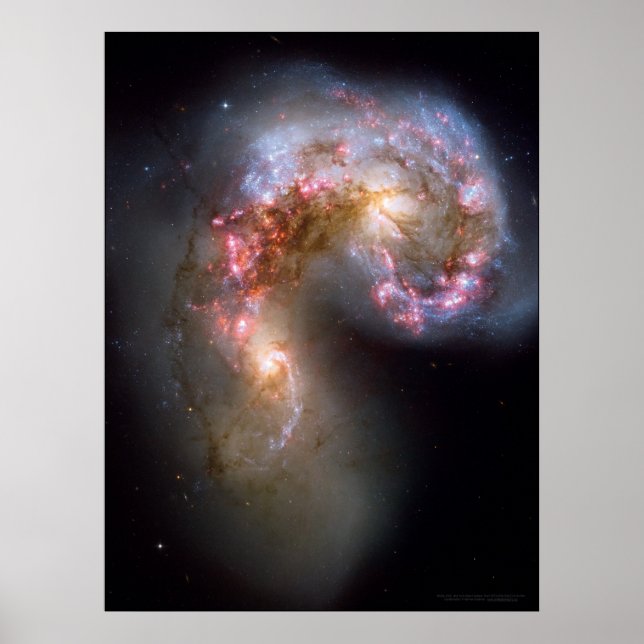 Antennae Galaxies 18x24 (21x28) Poster (Front)