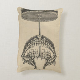 Anterior Teeth Model Accent Pillow