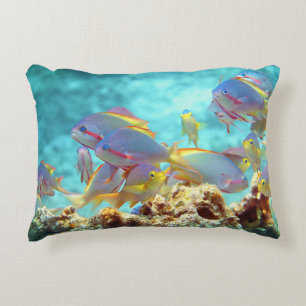Anthias - Colorful school of fish at coral reef Accent Pillow