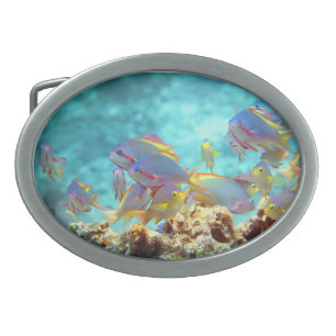 Anthias - Colorful school of fish at coral reef Belt Buckle