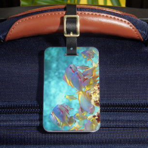 Anthias - Colorful school of fish at coral reef Luggage Tag