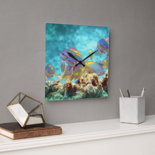 Anthias - Colorful school of fish at coral reef Square Wall Clock