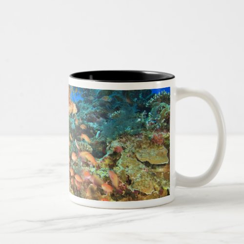 Anthias fish and black coral Wetar Island Two_Tone Coffee Mug