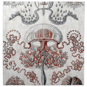 Anthomedusae American MoJo Napkins