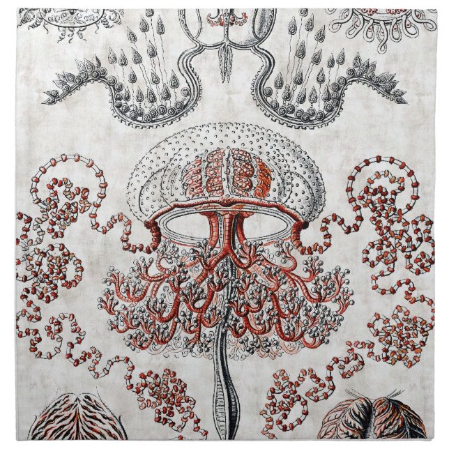 Anthomedusae American MoJo Napkins (Front)