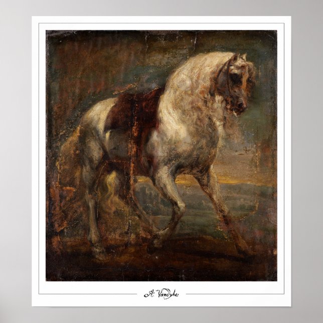 Anthony van Dyck Zedign Art Poster #31 (Front)