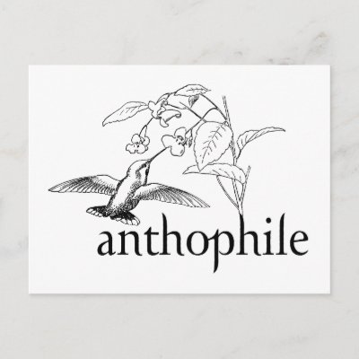 Anthophile Postcard
