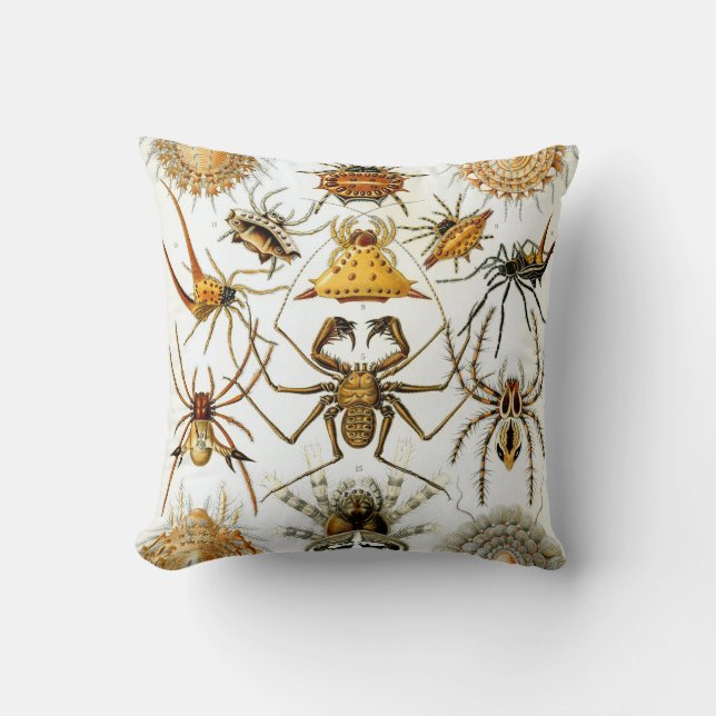 Anthropology Comfort Throw Pillow (Front)