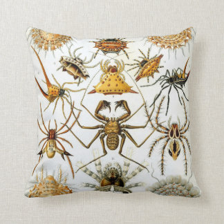 Anthropology Comfort Throw Pillow