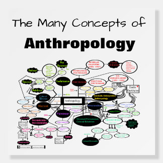 Anthropology Concept Map Foam Boards