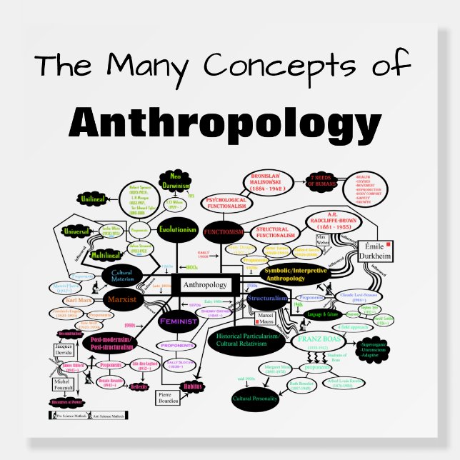 Anthropology Concept Map Foam Boards (Front)