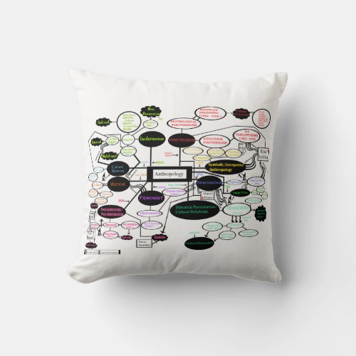 Anthropology Concept Map Pillow