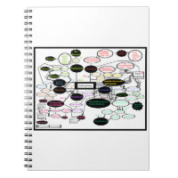 Anthropology Concept Map Spiral Photo Notebook