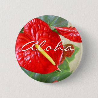 Anthurium Aloha  Button