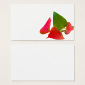 Anthurium flower (Front & Back)