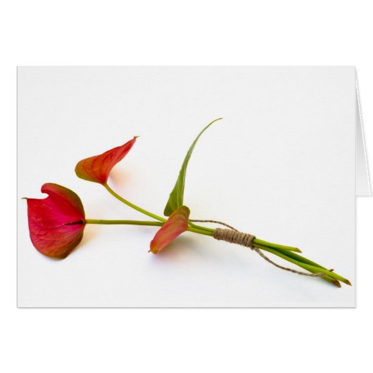 Anthurium flower cards (Front Horizontal)