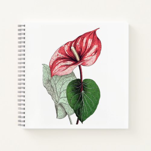 Anthurium Tropical Flower Diary Blank Notebook