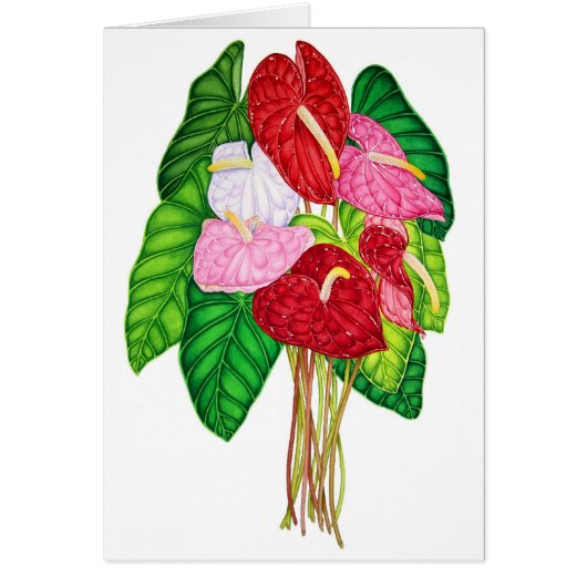 Anthuriums Cards (Front)