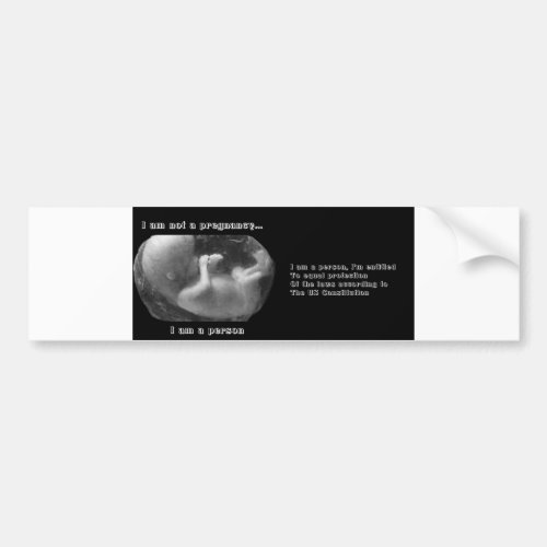 Anti Abortion Bumper Sticker