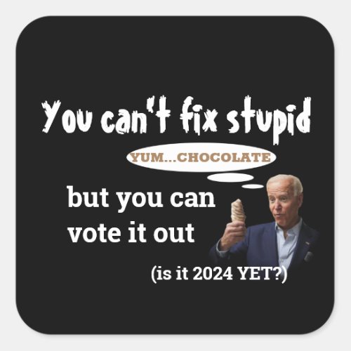 Anti Biden _ You Canât Fix Stupid Square Sticker
