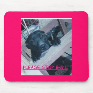 ANTI BSL MOUSE PAD