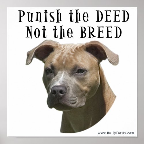 Anti_BSL Punish the Deed Not the Breed Poster
