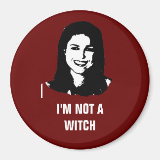 Anti- Christine O'Donnell Magnet