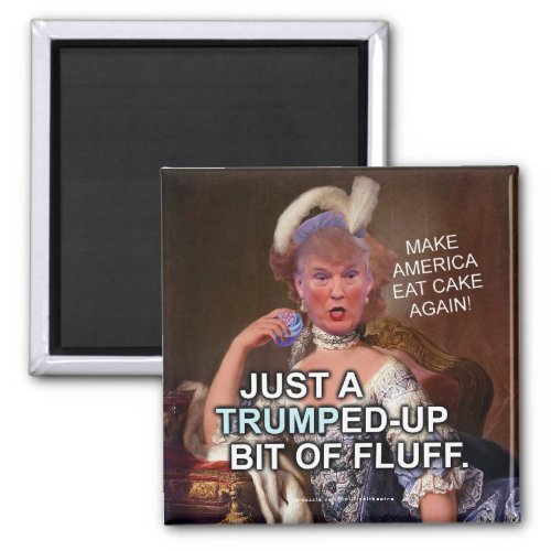 Anti Donald Trump Marie Antoinette 2020 Election Magnet