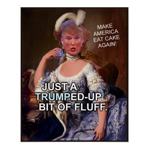Anti Donald Trump Marie Antoinette 2020 Election Poster