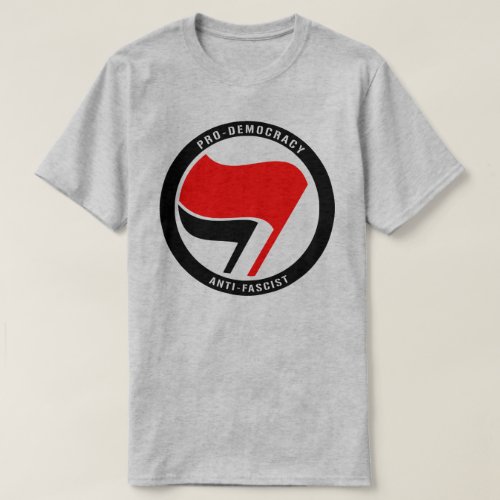 Anti_Fascism Pro Democracy T_Shirt
