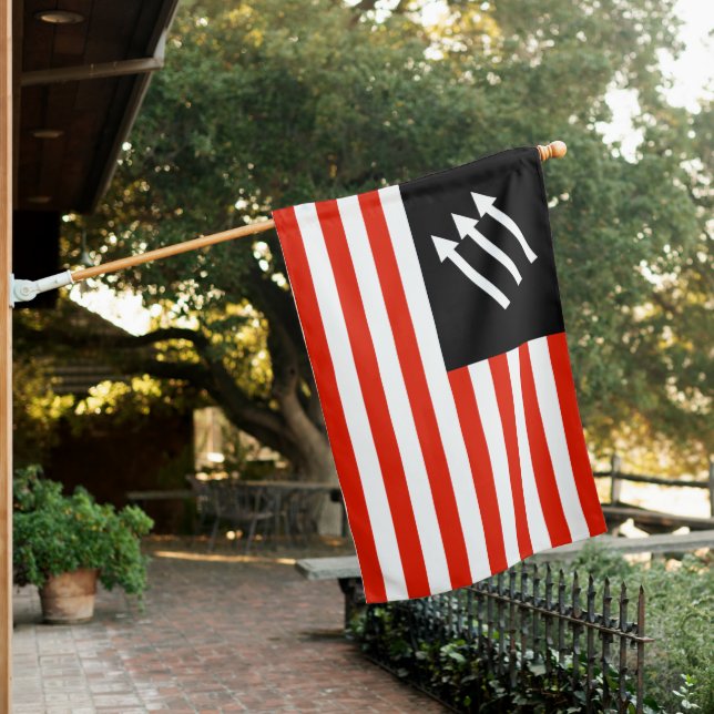Anti-Fascist American Flag (In SItu)