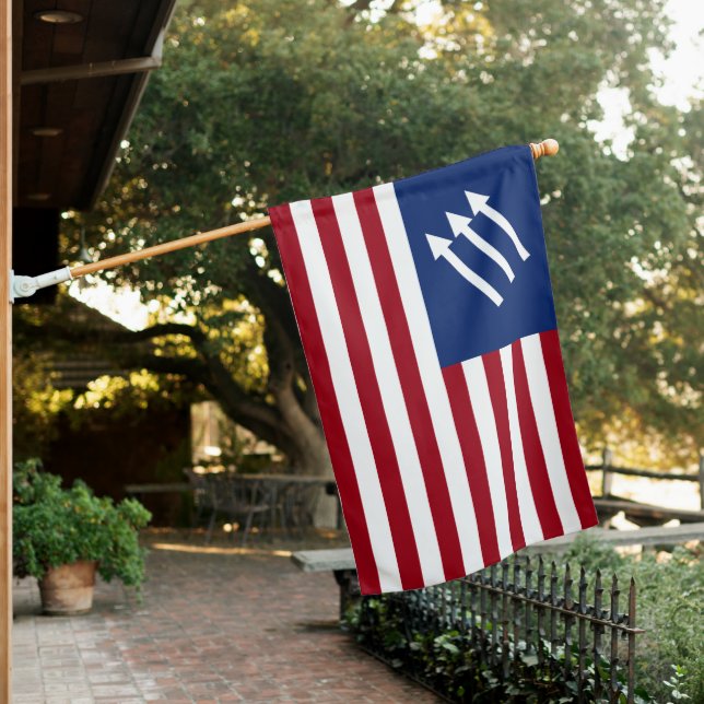Anti-Fascist American Flag (In SItu)