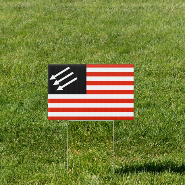 Anti-Fascist American Flag Sign (Insitu)