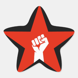 Anti-Fascist Star Star Sticker