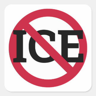Anti ICE Sticker