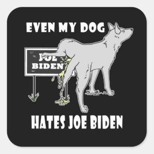 Anti Joe Biden My Dog Hates Biden Political Humor  Square Sticker