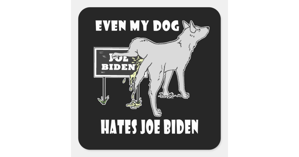 Anti Joe Biden My Dog Hates Biden Political Humor Square Sticker Zazzle
