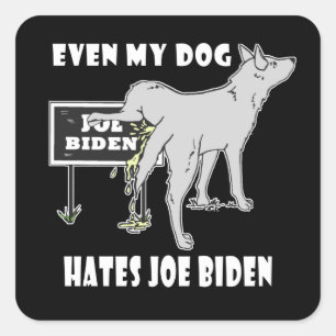 Anti Joe Biden My Dog Hates Biden Political Humor  Square Sticker
